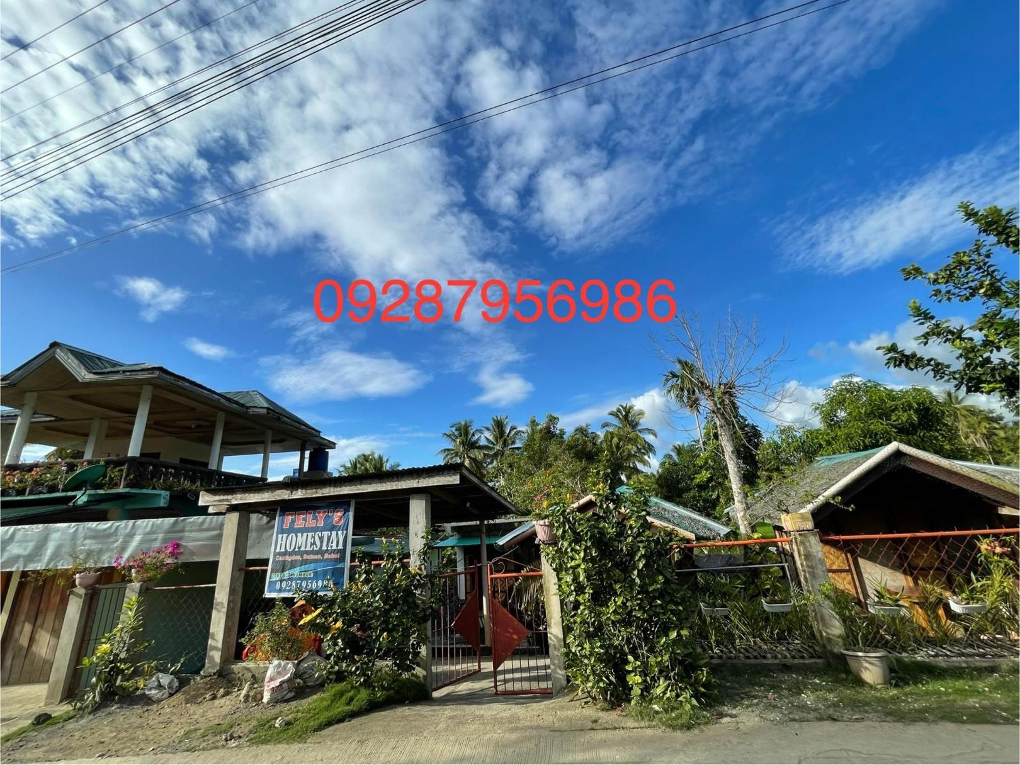 Fely'S Homestay Batuan Kültér fotó